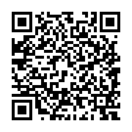 QR code for ZH41936
