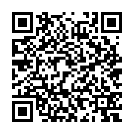 QR code for ZH53333