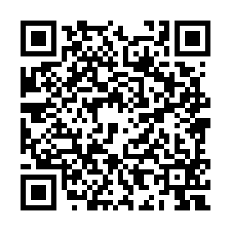 QR code for ZH87963