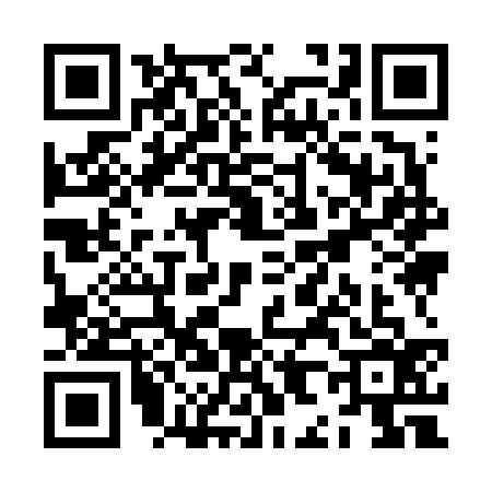 QR code for ZH96364
