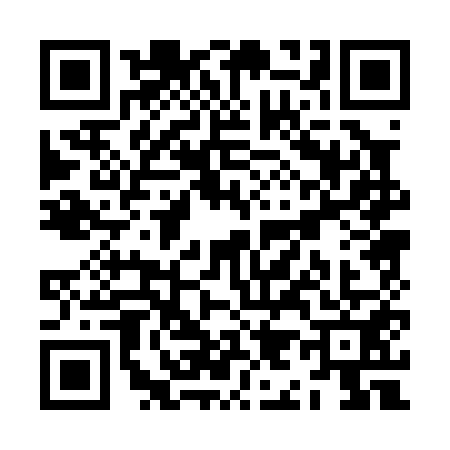 QR code for ZI00516