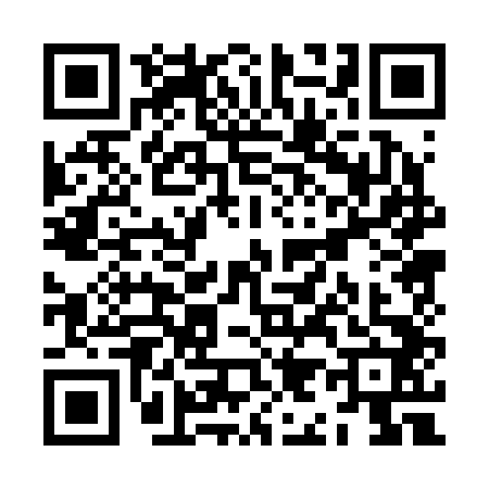 QR code for ZI02425