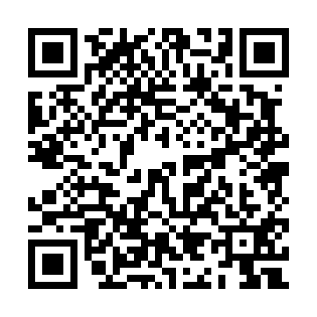 QR code for ZI04111
