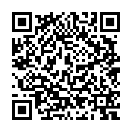 QR code for ZI04213