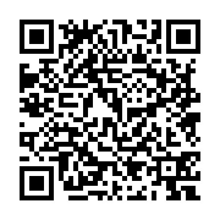 QR code for ZI09309