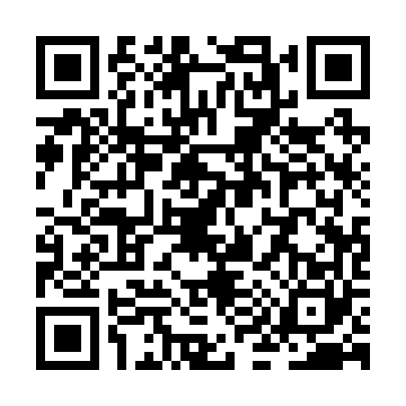 QR code for ZI12603