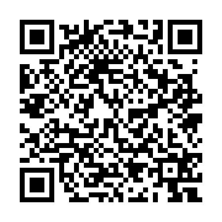 QR code for ZI13248