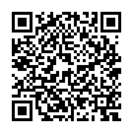 QR code for ZI13527