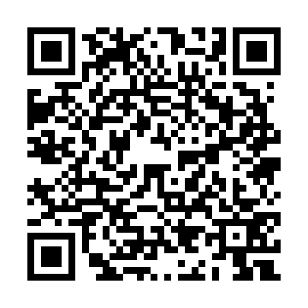 QR code for ZI16738