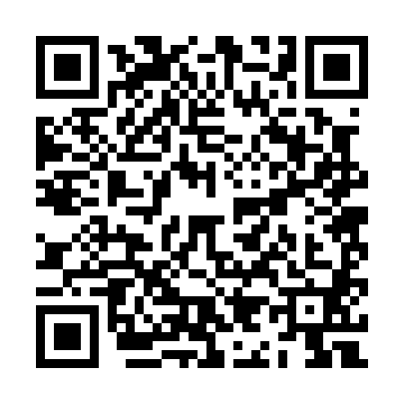 QR code for ZI20801