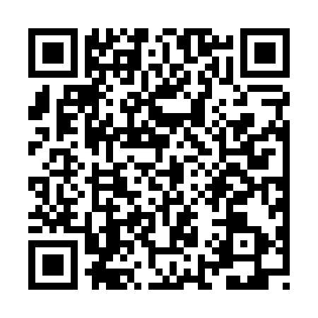QR code for ZI20933