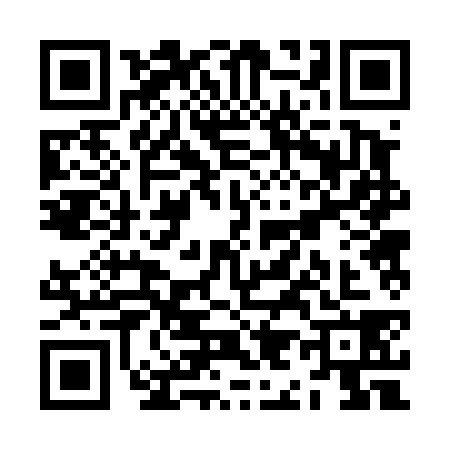 QR code for ZI24385
