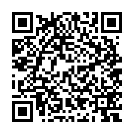 QR code for ZI26599