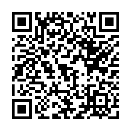QR code for ZI29313