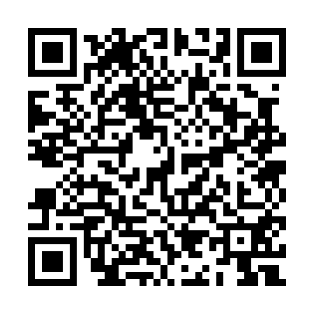 QR code for ZI30500