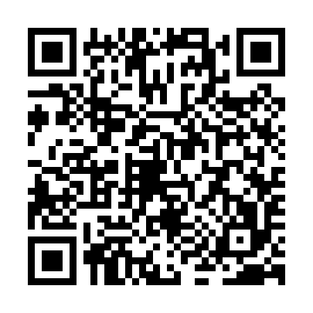 QR code for ZI30969