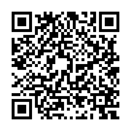 QR code for ZI38061