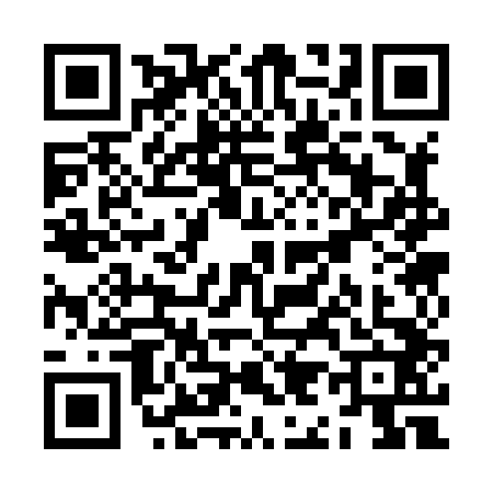 QR code for ZI38420