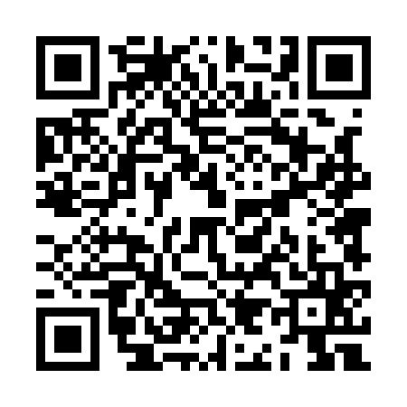 QR code for ZI41650