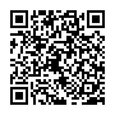 QR code for ZI41691