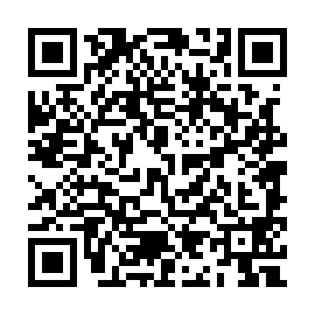 QR code for ZI41981
