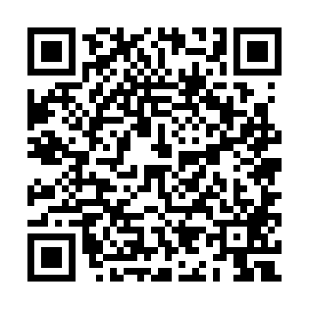 QR code for ZI53891