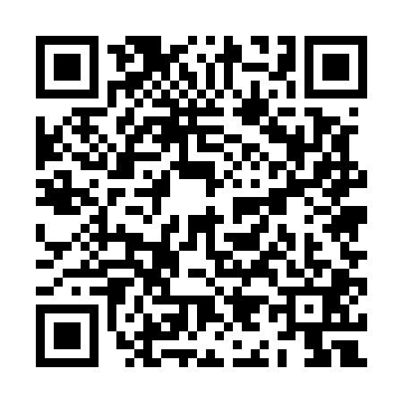 QR code for ZI55017