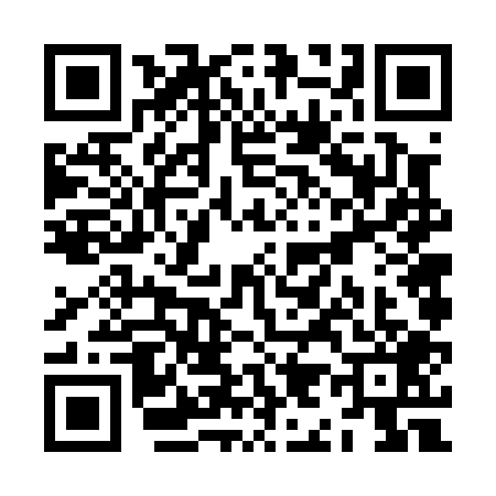 QR code for ZI60095