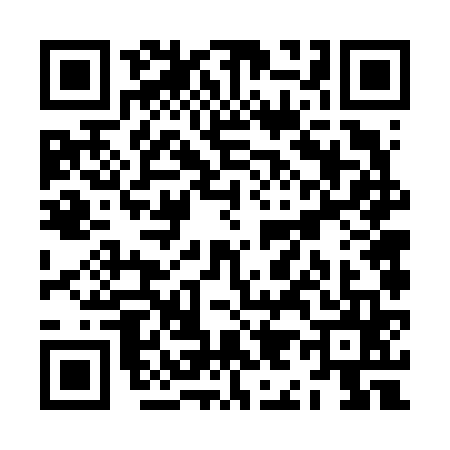 QR code for ZI66653