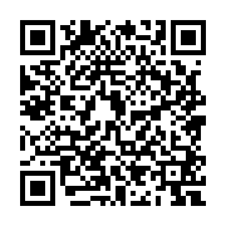 QR code for ZI81403