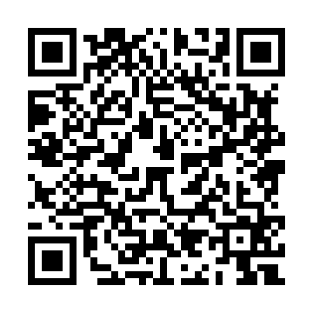 QR code for ZI88647