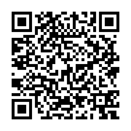 QR code for ZI95302