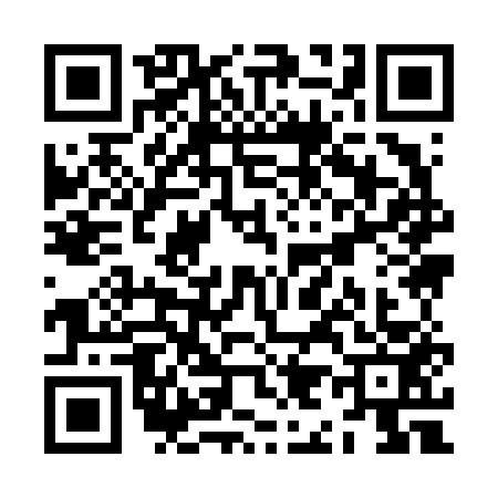 QR code for ZI96532