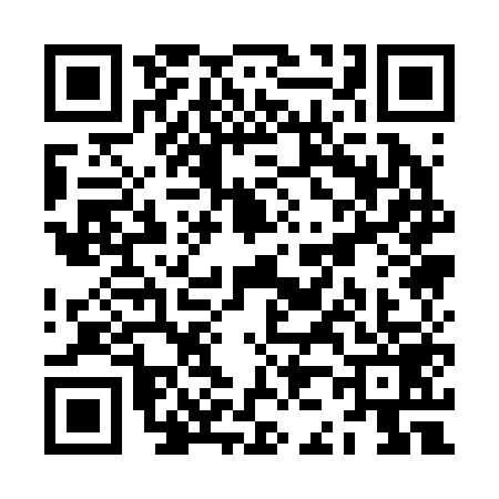 QR code for ZJ12597