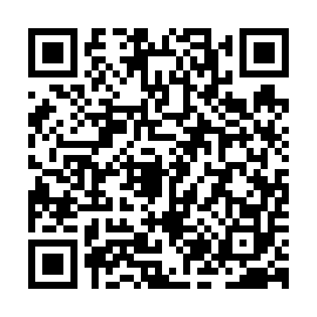 QR code for ZJ16528