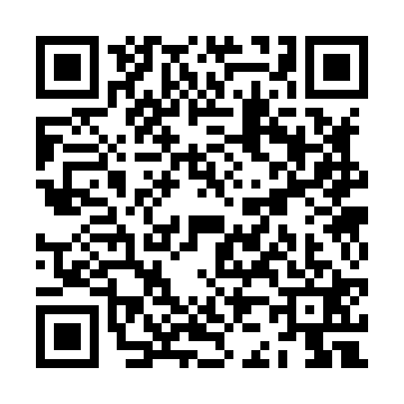 QR code for ZJ38219