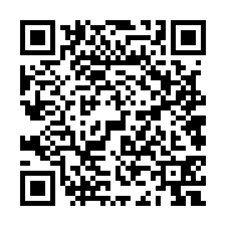 QR code for ZJ61309