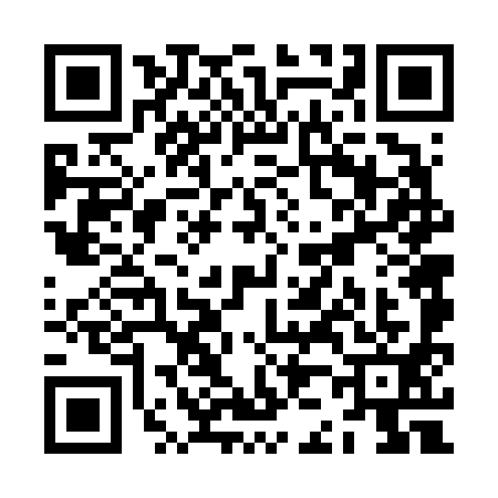 QR code for ZJ66918