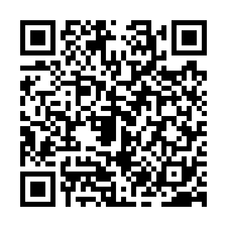 QR code for ZJ77719