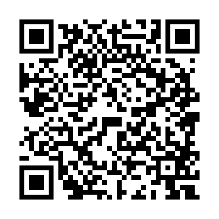QR code for ZJ82868