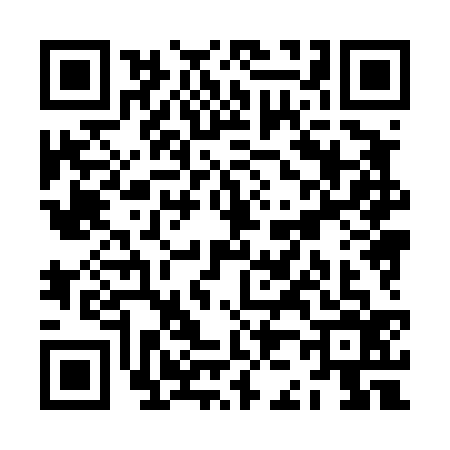 QR code for ZJ84368