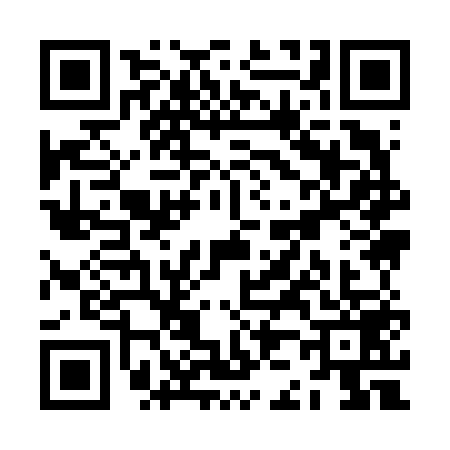 QR code for ZJ96593