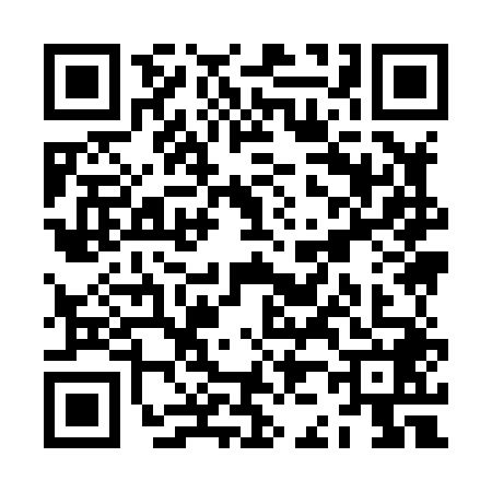 QR code for ZJ98486