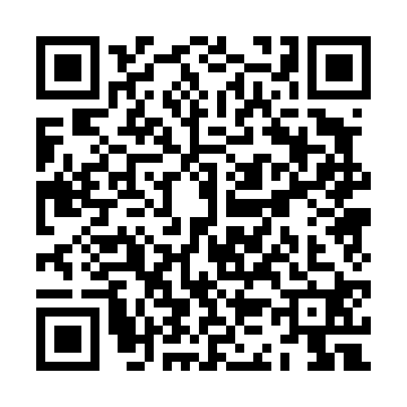 QR code for ZK04203