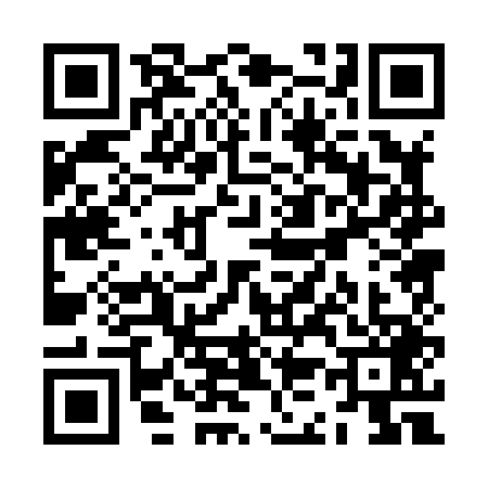 QR code for ZK08493