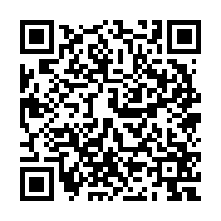 QR code for ZK16666