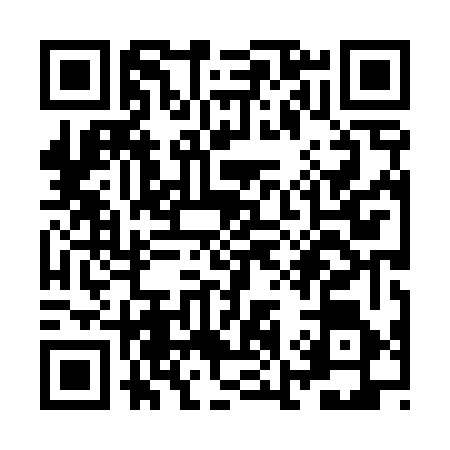 QR code for ZK84666