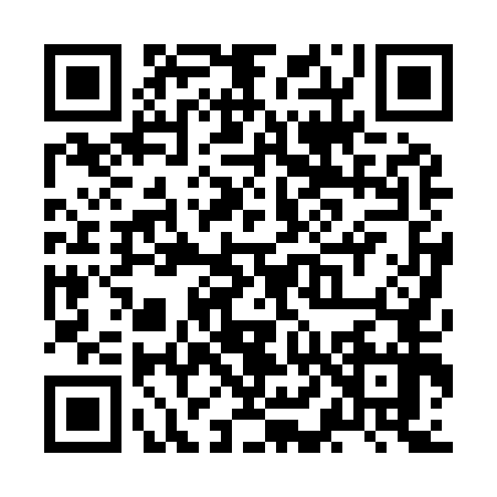 QR code for ZL09571