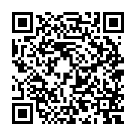 QR code for ZL12833