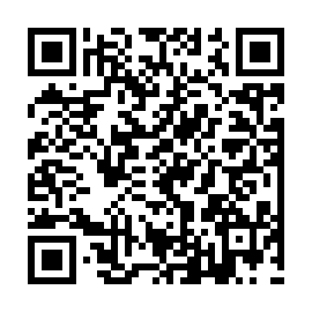 QR code for ZL29104